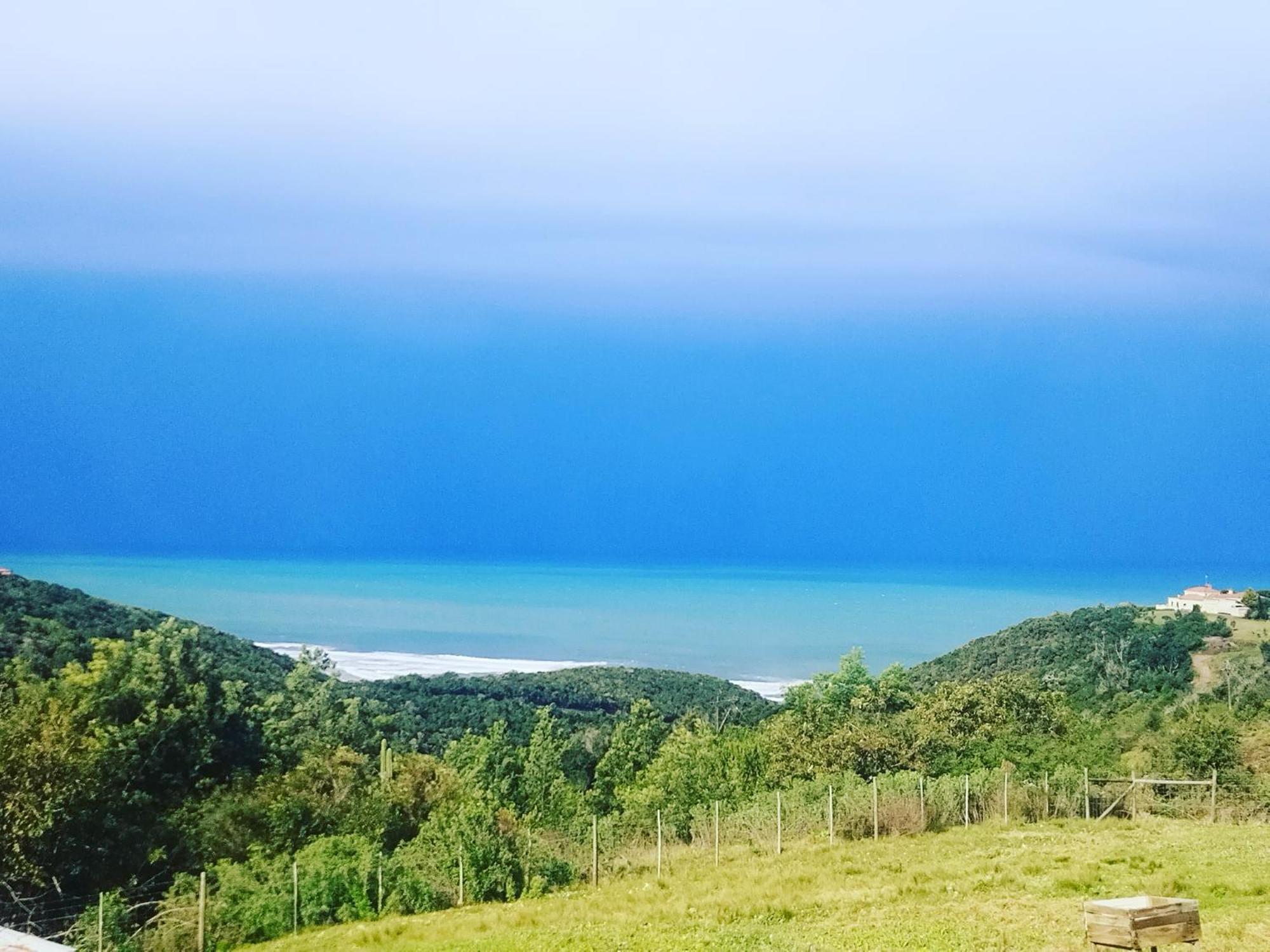Map Of Africa Ocean View Cottage Wilderness Εξωτερικό φωτογραφία